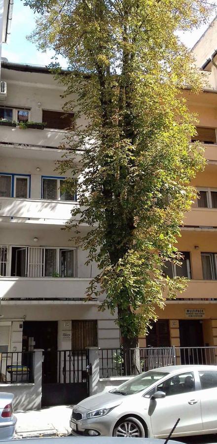 Studio Karma Βουδαπέστη Εξωτερικό φωτογραφία